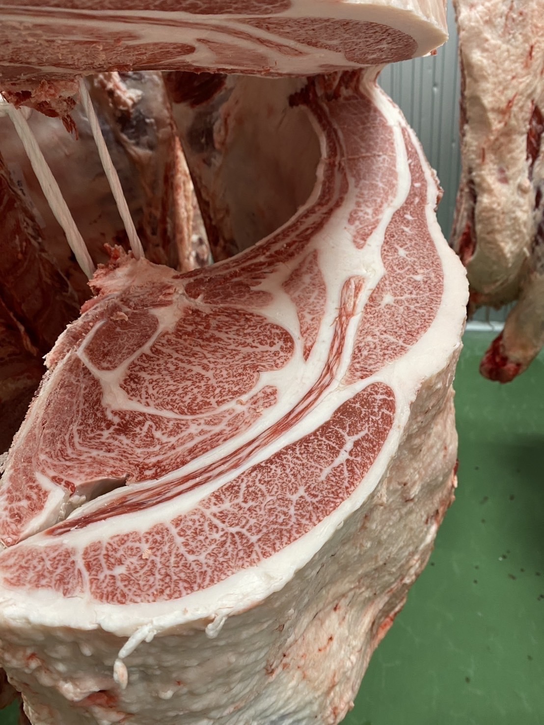 飛騨牛の枝肉